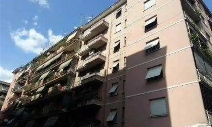 Rexer-Roma-Camera-per-studenti-o-lavoratori-ALTRO
