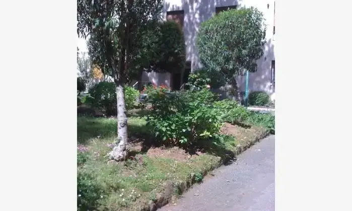 Rexer-Roma-Camere-zona-Ostiense-GIARDINO
