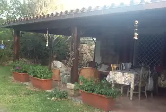 Rexer-Olbia-Villetta-con-giardino-GIARDINO