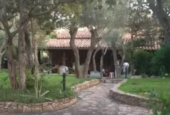Rexer-Olbia-Villetta-con-giardino-ALTRO