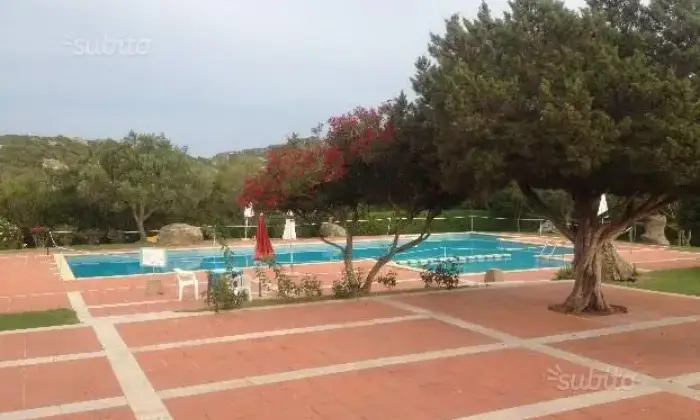 Rexer-Olbia-Villetta-con-giardino-PISCINA