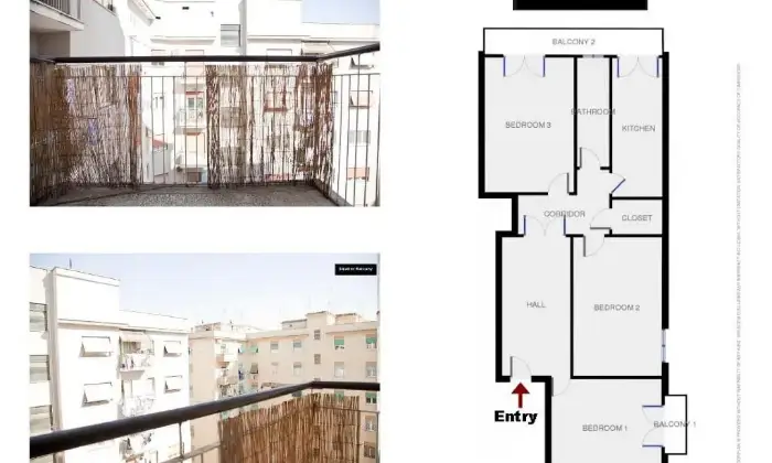 Rexer-Roma-Ampio-trilocale-arredato-ALTRO