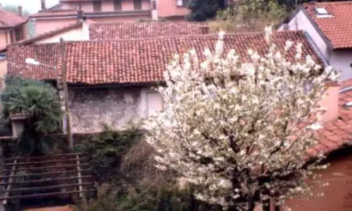 Rexer-Angera-Angera-metri-dal-lago-ALTRO