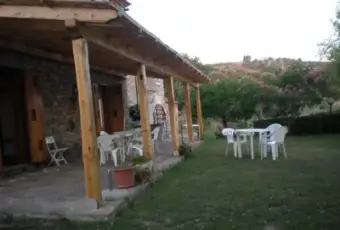 Rexer-Castellabate-Trilocale-in-casa-colonica-GIARDINO