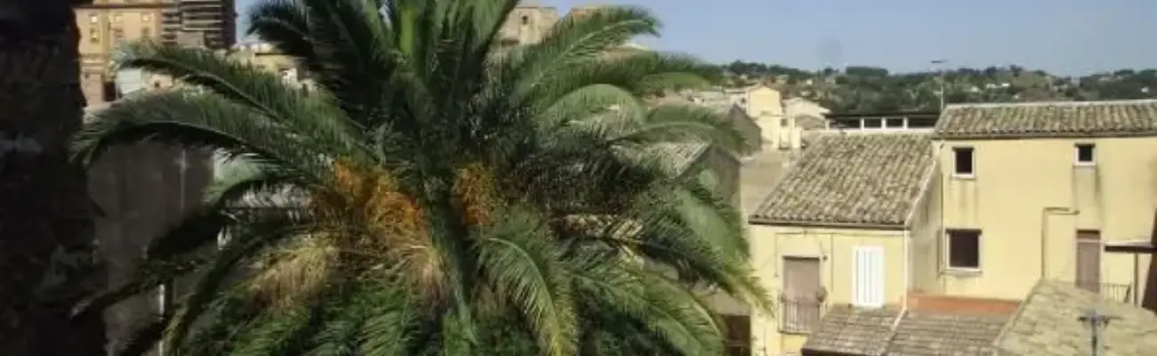 Rexer-Piazza-Armerina-Antico-palazzo-nobiliare-nel-centro-storico-ALTRO