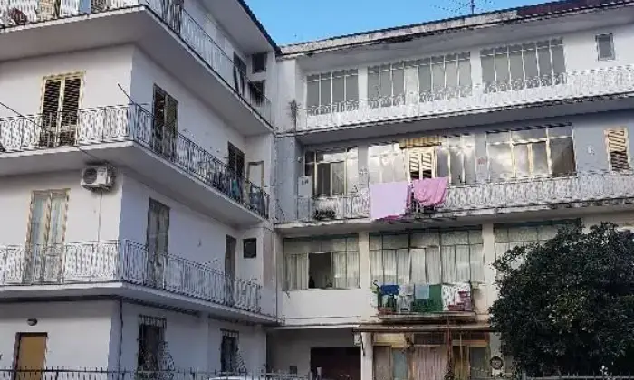 Rexer-Capua-Fittasi-studenti-universitari-ALTRO