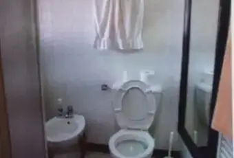 Rexer-Sarzana-Accogliente-bilocale-indipendente-BAGNO