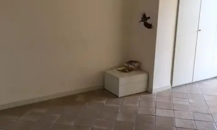 Rexer-Zagarolo-Affitto-appartamento-ALTRO