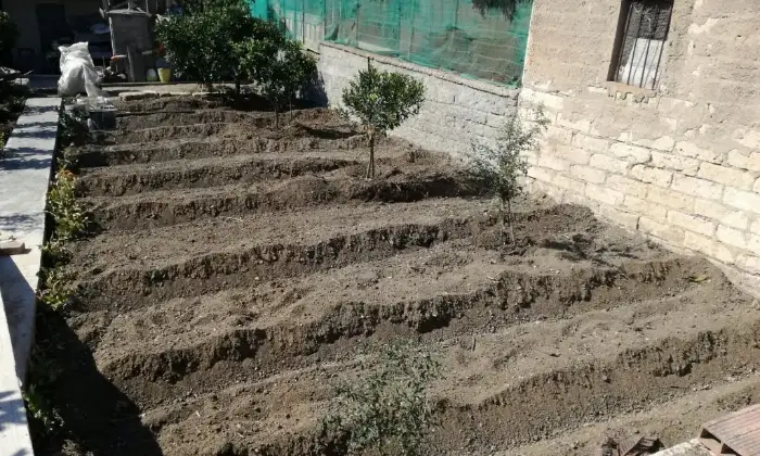 Rexer-Licata-Struttura-su-elevazioni-ALTRO