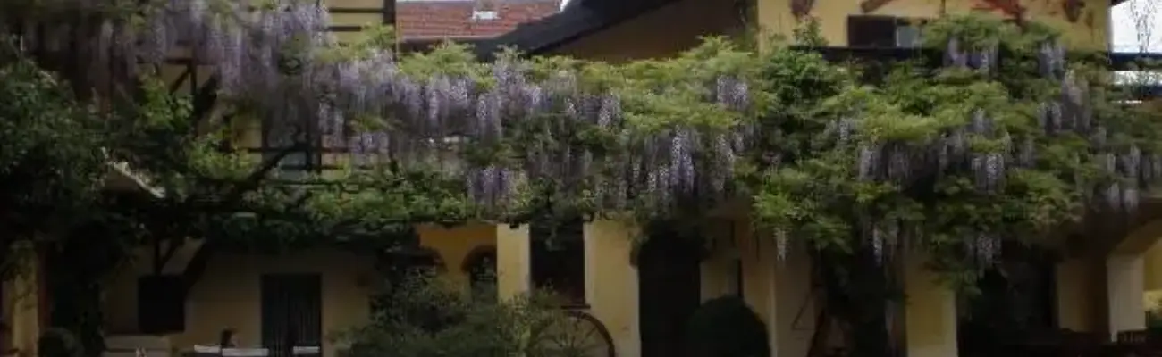 Rexer-Borgo-Ticino-Quadrilocale-in-affitto-a-Borgo-Ticino-ALTRO