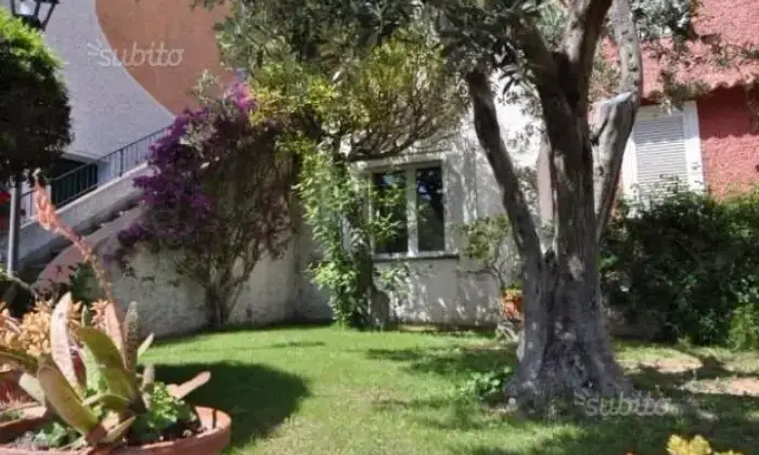 Rexer-Monte-Argentario-Argentario-Porto-Santo-Stefano-ALTRO
