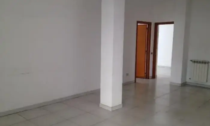 Rexer-Gela-Gela-cso-vitt-emle-mt-SALONE