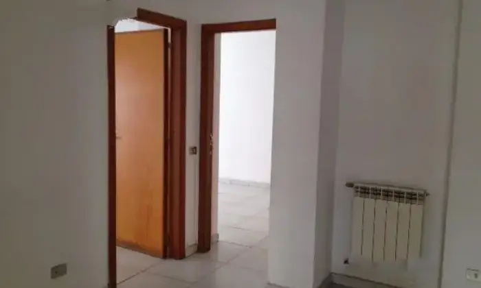 Rexer-Gela-Gela-cso-vitt-emle-mt-ALTRO