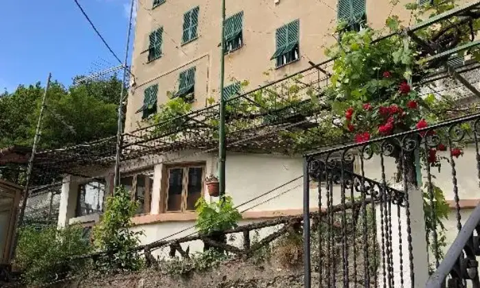 Rexer-Genova-Cerco-coinquilinoa-SALONE