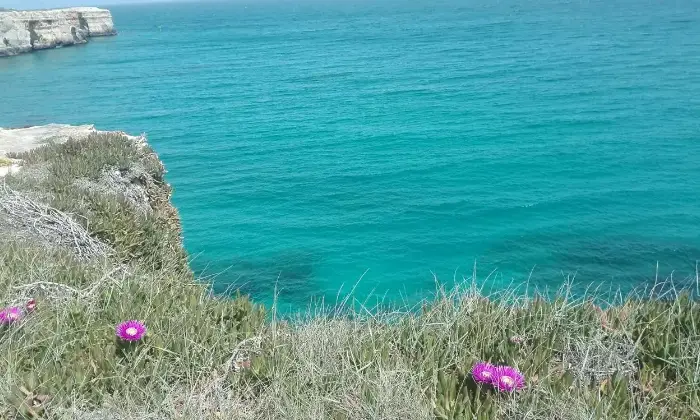 Rexer-Melendugno-Villetta-a-metri-dal-mare-Torre-dellOrso-ALTRO