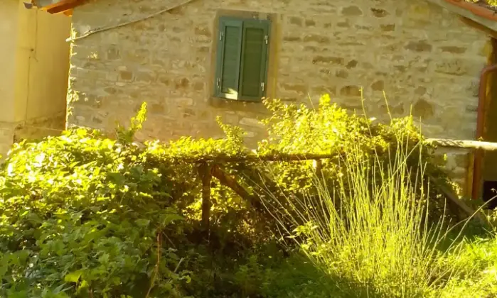 Rexer-Bibbiena-Casa-singola-Giardino