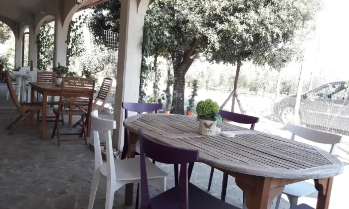Rexer-Campiglia-Marittima-Casa-vacanze-in-campagna-a-pochi-minuti-dal-mare-Portico