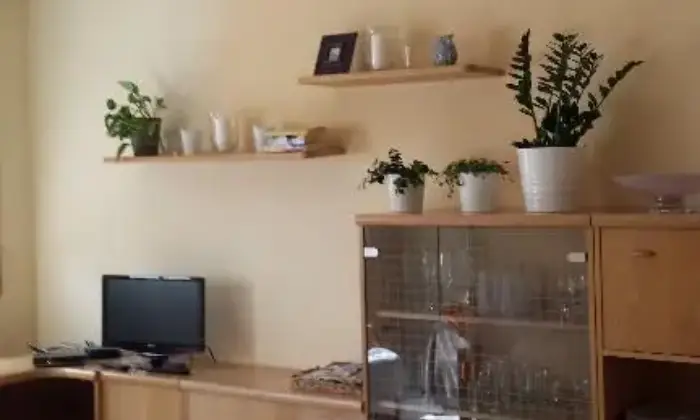 Rexer-Cesenatico-Appartamento-per-studenti-lavoratori-SALONE