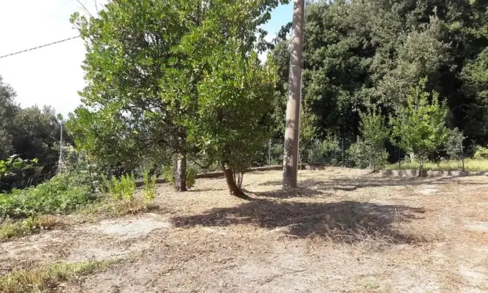 Rexer-Canolo-Casa-In-Montagna-ALTRO
