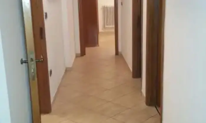 Rexer-Pescara-Singola-in-affitto-ALTRO