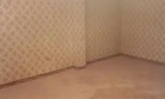 Rexer-Gela-Appartamento-in-affitto-ALTRO