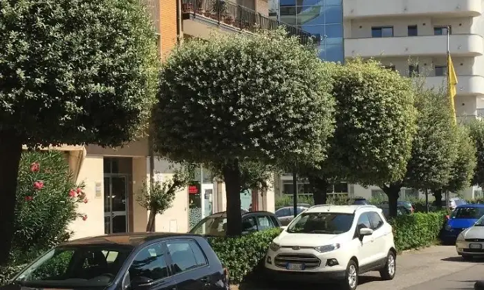 Rexer-Rende-Appartamento-ampio-e-luminoso-ALTRO