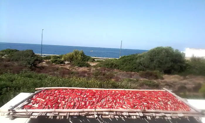 Rexer-Alliste-Villetta-vista-mare-nel-Salento-massima-igiene-e-pulizia-a-mt-dal-mare-accessibile-zon
