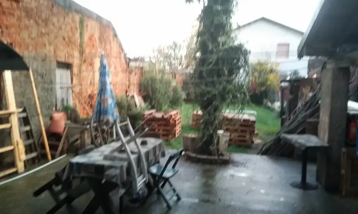 Rexer-Giussago-Camere-con-bagno-in-casa-indipendente-con-giardino-GIARDINO