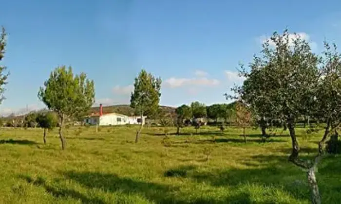 Rexer-Buccheri-Villetta-singola-con-ampio-terreno-in-affitto-ALTRO
