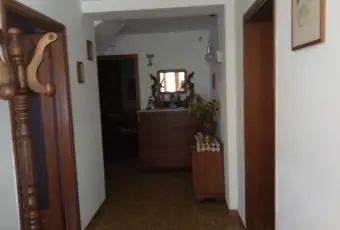 Rexer-San-Giuliano-Terme-Casa-singola-molto-luminosa-in-zona-tranquilla-ALTRO