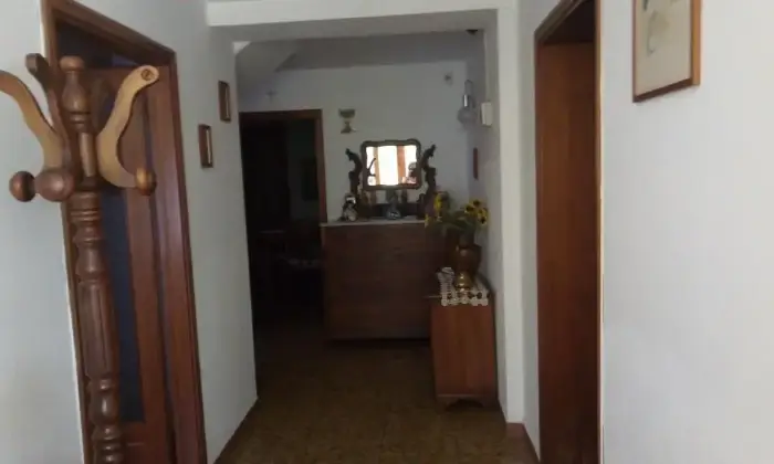 Rexer-San-Giuliano-Terme-Casa-singola-molto-luminosa-in-zona-tranquilla-ALTRO