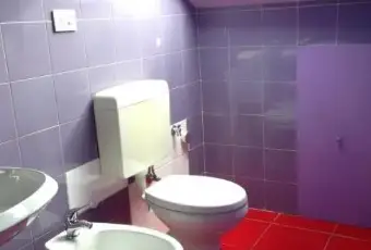 Rexer-Porte-Luminosa-e-colorata-mansarda-a-Porte-BAGNO