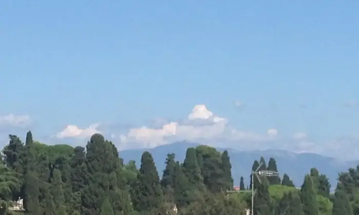 Rexer-Roma-San-lorenzo-delizioso-ALTRO