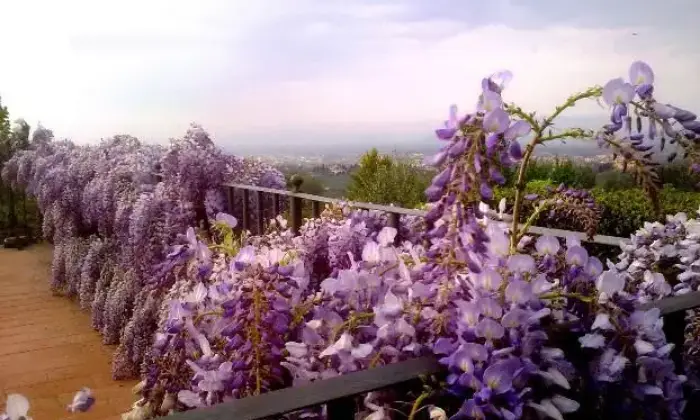 Rexer-Scandicci-Villa-colline-fiorentine-ALTRO