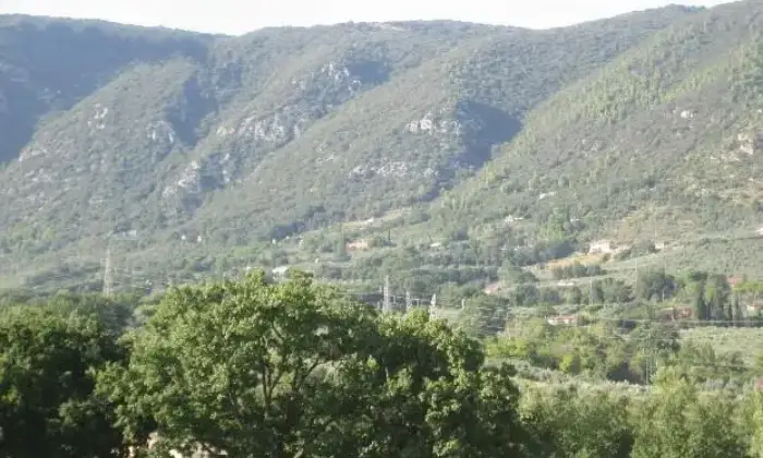 Rexer-Terni-Appartamento-in-affitto-con-riscatto-ALTRO