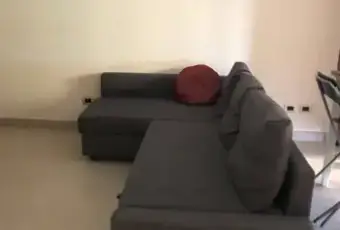Rexer-Roma-Attichetto-bilocale-completamente-arredato-SALONE