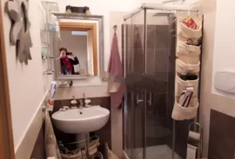 Rexer-Roma-Affitto-di-Bilocale-in-via-Carlo-Dapporto-BAGNO