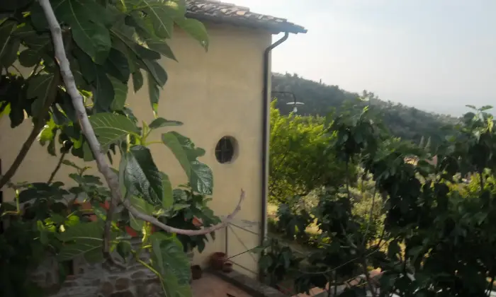 Rexer-Pian-di-sco-AR-Affittasi-bilocale-in-antica-colonica-toscana-ALTRO