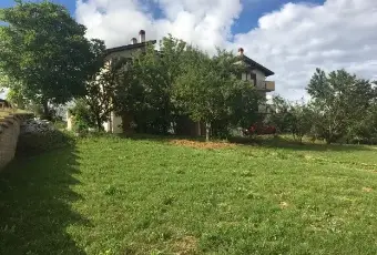 Rexer-Tornimparte-Appartamento-nuovo-GIARDINO