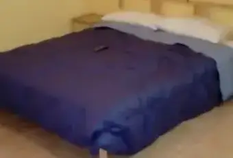 Rexer-Fara-Filiorum-Petri-Si-affitta-appartamento-Via-Vicenne-CAMERA-DA-LETTO