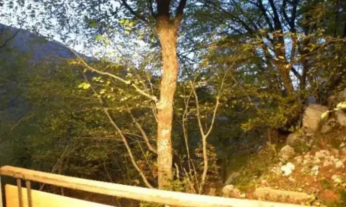 Rexer-Rocca-di-Cambio-Villa-su-piani-in-affitto-ALTRO