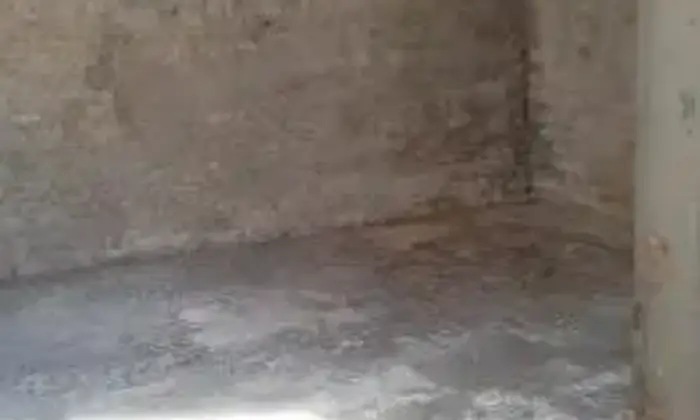 Rexer-Sassoferrato-Appartamento-via-Bizzarri-CANTINA