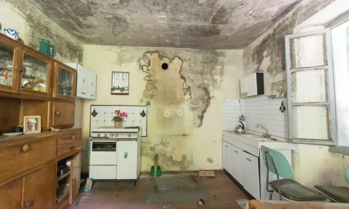 Rexer-Cravagliana-Casa-indipendente-da-ristrutturare-parzialmente-SALA