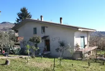 Rexer-Cerreto-Sannita-Villa-indipendente-con-uliveto-e-vigneto-ALTRO