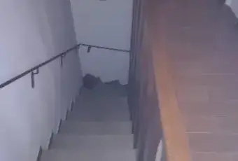 Rexer-Montecorice-Immobile-cilento-ortodonico-casa-livelli-ALTRO