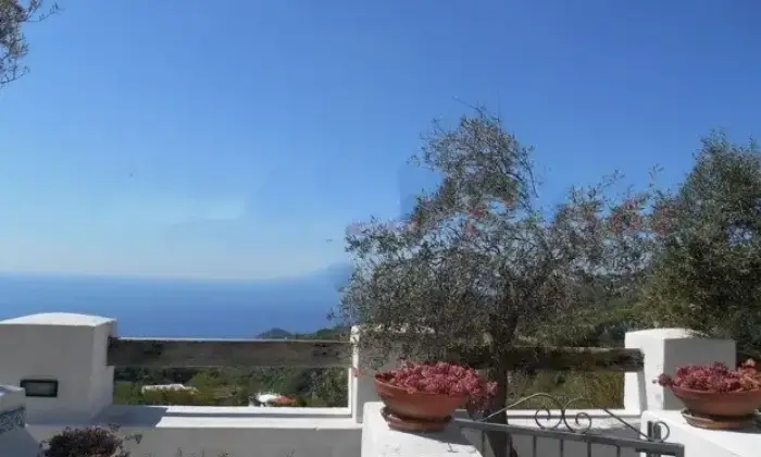 Rexer-Ischia-Bilocale-in-affitto-ALTRO