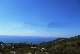 Rexer-Ischia-Bilocale-in-affitto-ALTRO
