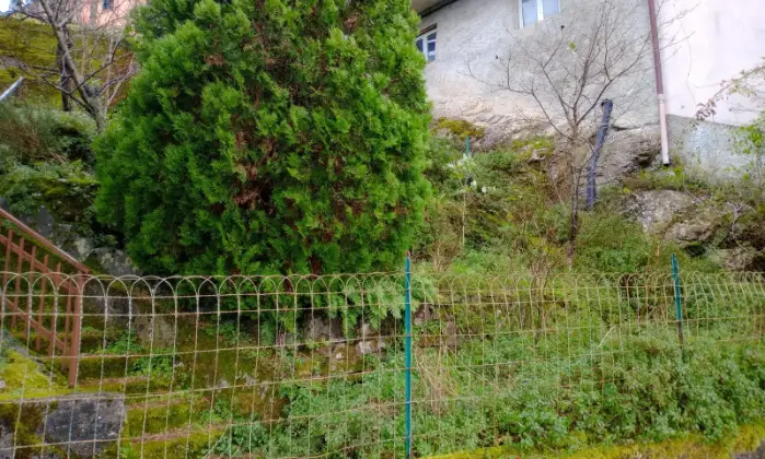 Rexer-Fosdinovo-Villa-Casa-indipendente-in-via-fontana-Fosdinovo-Altro