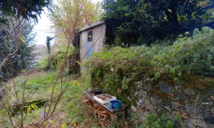 Rexer-Fosdinovo-Villa-Casa-indipendente-in-via-fontana-Fosdinovo-Altro