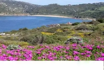 Rexer-Santa-Teresa-Gallura-Trilocale-sul-mare-ALTRO